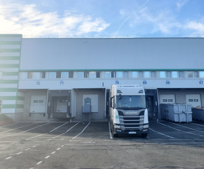 �¹������˸���