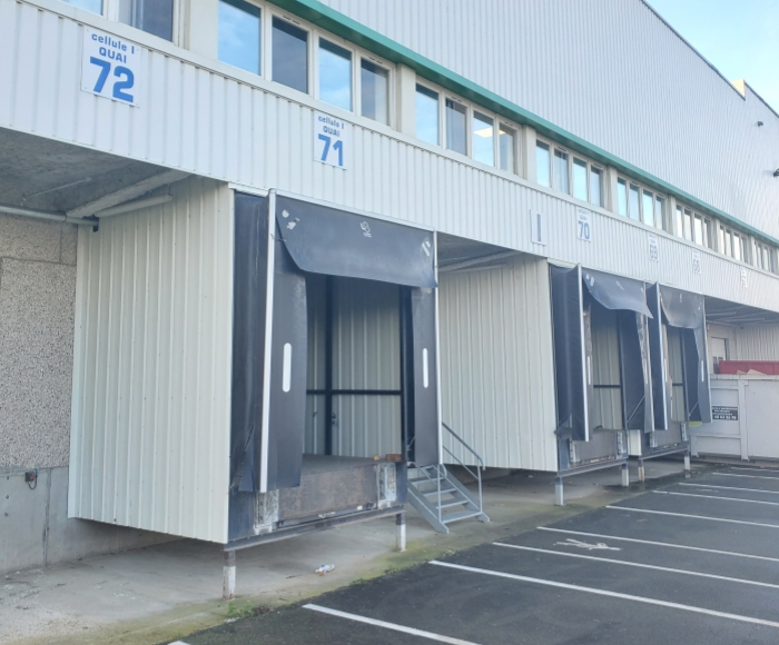 �¹������˸���